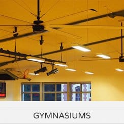 Gymnasiums